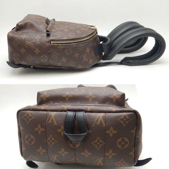 Louis Vuitton Monogram Palm Springs PM Backpack Brown - Picture 3 of 8